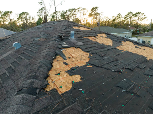 Asphalt Shingles Roofing in Brownstown, PA