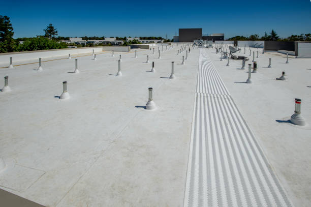 Best Commercial Roofing Services  in Brownstown, PA